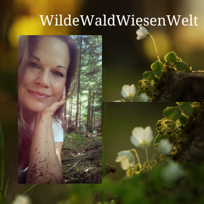 WildeWaldWiesenWelt